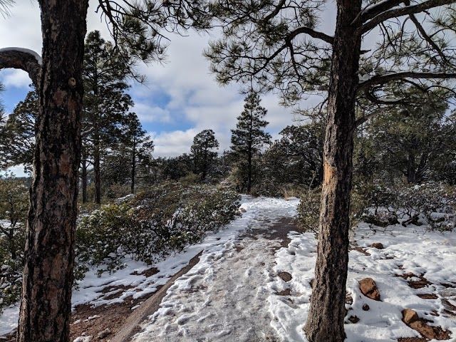 Mogollon Rim Trail